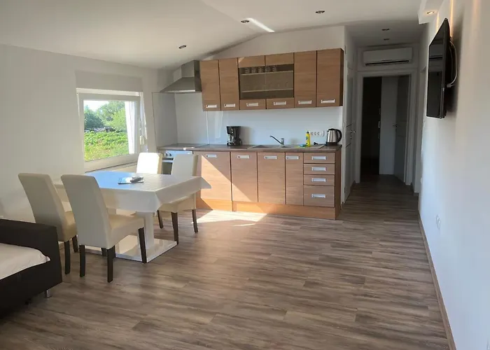 Διαμέρισμα Ban Galižana